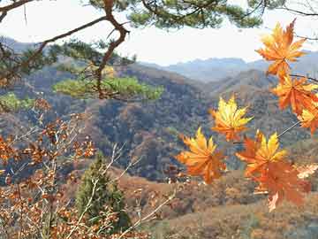 车长沟村委会新项目启动，重塑乡村未来