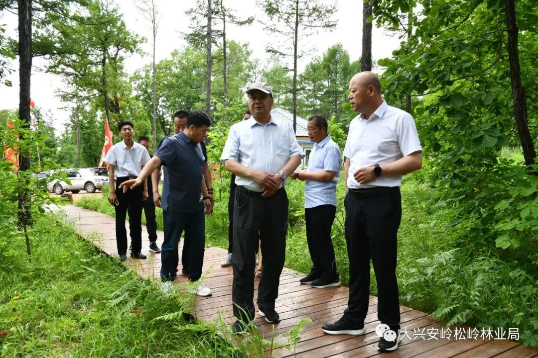 太东林场新任领导引领下的变革与发展